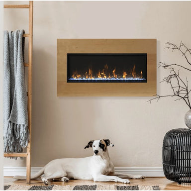 Amantii Panorama BI Xtra Slim Full View Smart Electric Fireplace enjoyed by the pet