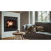 The dog enjoying the SimpliFire Inception Built-In Electric Fireplace's warmth